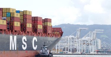 msc shipping container carrier