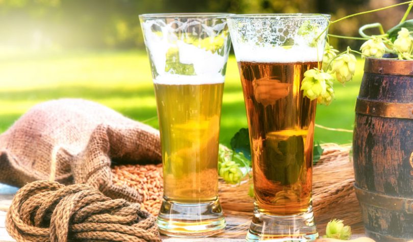 beer traceability hops
