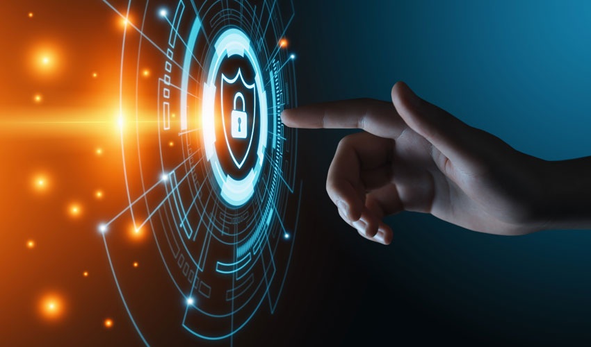 Privacy Guardians Blockchain Safeguards