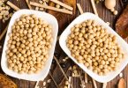soya beans agribusiness