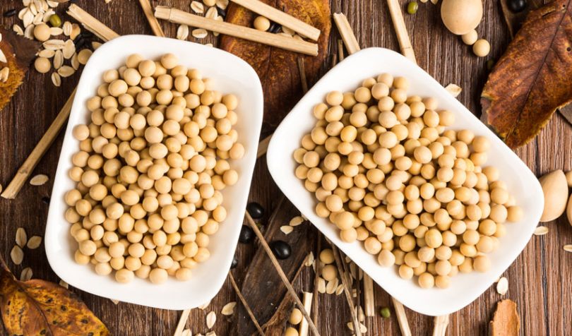 soya beans agribusiness