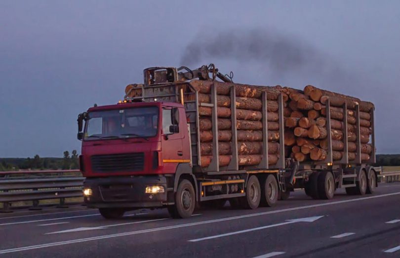timber imports