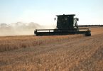 grain harvest australia