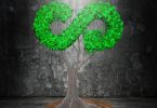 sustainability circular economy