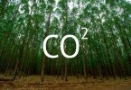 carbon credits c02