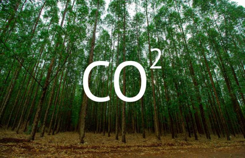 carbon credits c02