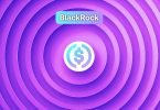 blackrock circle usdc stablecoin