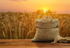grain agriculture commodities