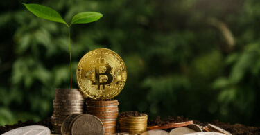 crypto funds asset management digital assets bitcoin