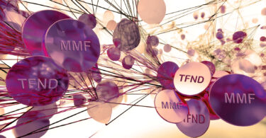 lynq tokenized money market funds