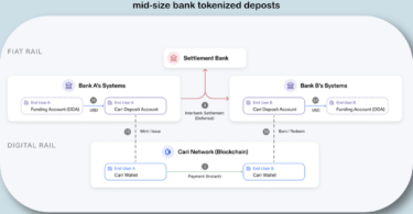 cari network tokenized deposits