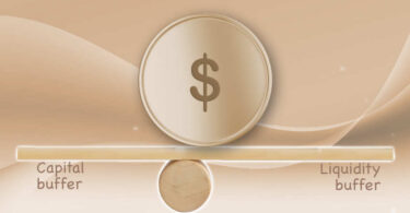 stablecoin capital liquidity buffer