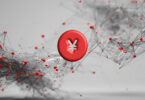 yen stablecoin